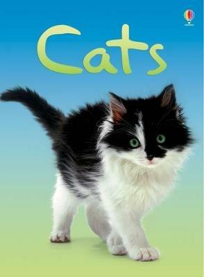 Cats. Ediz. illustrata - Anna Milbourne - copertina