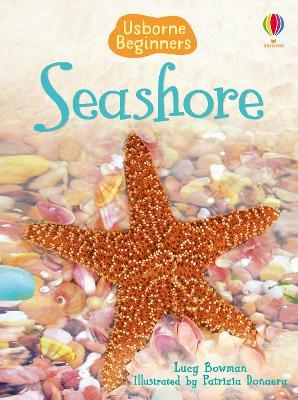 Seashore - Lucy Bowman - cover