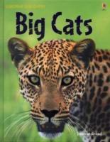 Big Cats - cover
