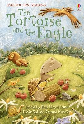 The Tortoise and the Eagle - Rob Lloyd Jones - cover