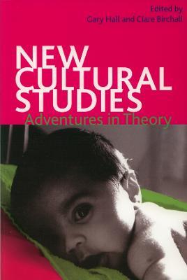 New Cultural Studies: Adventures in Theory - cover