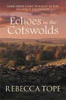Echoes in the Cotswolds: The engrossing cosy crime series