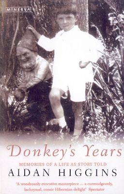 Donkeys Years - Aidan Higgins - cover