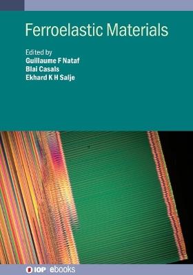 Ferroelastic Materials - cover