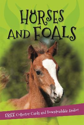 It's all about... Horses and Foals - Kingfisher - cover