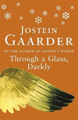 Through A Glass, Darkly - Jostein Gaarder - cover