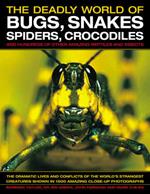 The Deadly World of Bugs, Snakes, Spiders, Crocodiles and Hundreds of Other Amazing Reptiles and Insects: Discover the Amazing World of Reptiles and Bugs, Featuring More Than 1500 Fabulous Wildlife Photographs and Illustrations