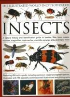 The Illustrated World Encyclopaedia of Insects: A Natural History and Identification Guide to Beetles, Flies, Bees Wasps, Springtails, Mayflies, Stoneflies, Dragonflies, Damselflies, Cockroaches, Mantids, Earwigs ... and Many More - Martin Walters - cover