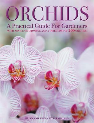 Orchids - Andrew Mikolajski - cover