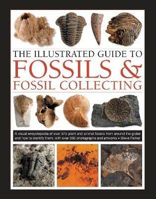 Fossils & Fossil Collecting, The Illustrated Guide to: A reference guide to over 375 plant and animal fossils from around the globe and how to identify them, with over 950 photographs and artworks - Steve Parker - cover