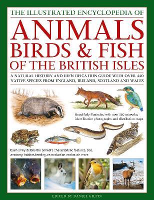 The Animals, Birds & Fish of the British Isles, Illustrated Guide to: A natural history and identification guide to over 440 native species from England, Ireland, Scotland and Wales - Daniel Gilpin - cover