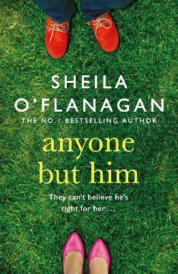 Anyone but Him: What would you do if someone you loved was making the biggest mistake of their life? - Sheila O'Flanagan - cover