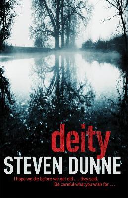 Deity (DI Damen Brook 3) - Steven Dunne - cover