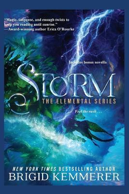 Storm - Brigid Kemmerer - cover