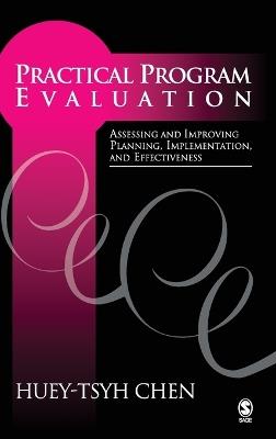 Practical Program Evaluation: Assessing and Improving Planning, Implementation, and Effectiveness - Huey-tsyh Chen - cover