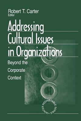Addressing Cultural Issues in Organizations: Beyond the Corporate Context - cover