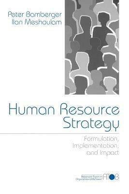 Human Resource Strategy: Formulation, Implementation, and Impact - Peter A. Bamberger,Ilan Meshoulam - cover