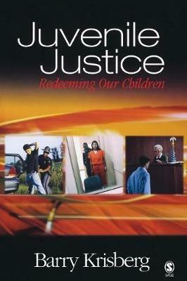 Juvenile Justice: Redeeming Our Children - Barry A. Krisberg - cover