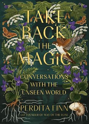 Take Back the Magic: Conversations with the Unseen World - Perdita Finn - cover