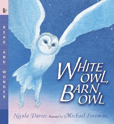 White Owl, Barn Owl: Read and Wonder - Nicola Davies - cover