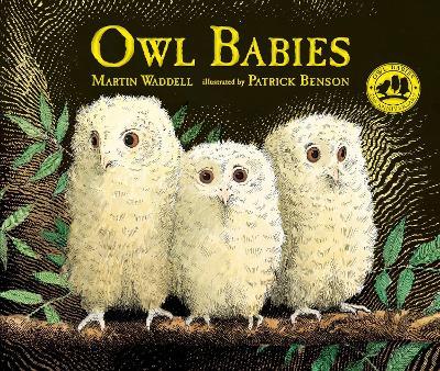 Owl Babies - Martin Waddell - cover