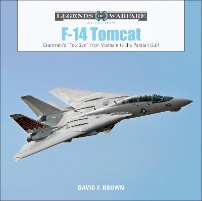 F-14 Tomcat: Grumman's “Top Gun” from Vietnam to the Persian Gulf - David F. Brown - cover