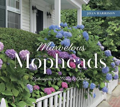 Marvelous Mopheads: Hydrangeas for Home & Garden - Joan Harrison - cover