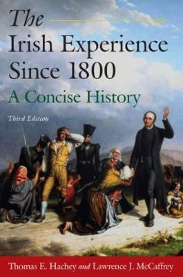 The Irish Experience Since 1800: A Concise History: A Concise History - Thomas E. Hachey,Lawrence J. McCaffrey - cover