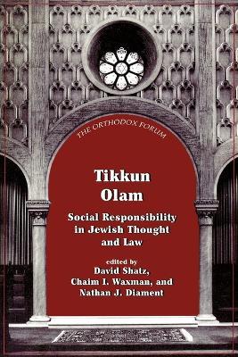 Tikkun Olam: Social Responsibility in Jewish Thought and Law - cover