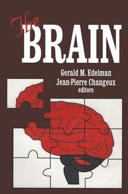 The Brain - Jean-Pierre Changeux,Gerald M. Edelman - cover