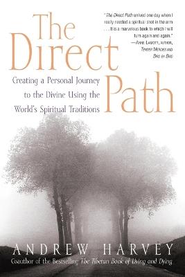 The Direct Path: Creating a Personal Journey to the Divine Using the World's Spirtual Traditions - Andrew Harvey - cover
