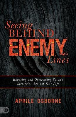 Seeing Behind Enemy Lines - Aprile Osborne - cover