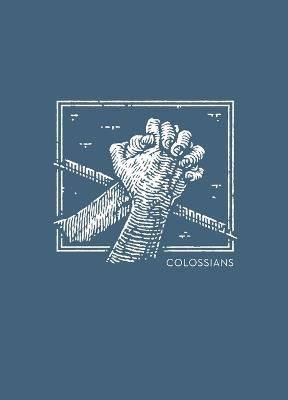 NET Abide Bible Journal - Colossians, Paperback, Comfort Print: Holy Bible - cover