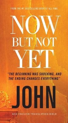 Now but Not Yet, NET Eternity Now New Testament Series, Vol. 5: John, Paperback, Comfort Print: Holy Bible - Thomas Nelson - cover