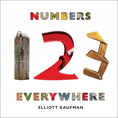 Numbers Everywhere - Elliott Kaufman - cover