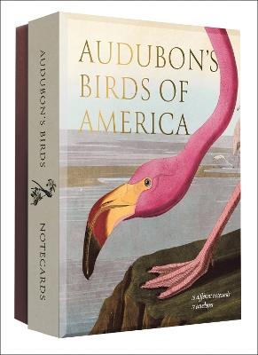 Audubon's Birds of America: An Abbeville Notecard Set - Editors of Abbeville Press - cover