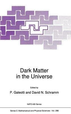 Dark Matter in the Universe - cover