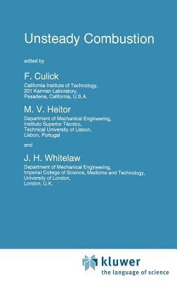 Unsteady Combustion - cover