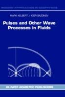 Pulses and Other Wave Processes in Fluids: An Asymptotical Approach to Initial Problems - M. Kelbert,I.A. Sazonov - cover