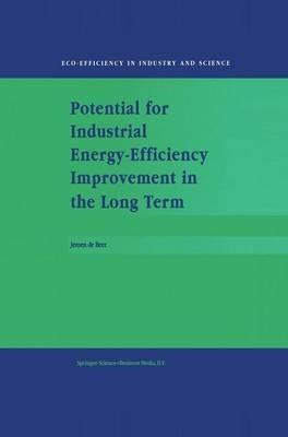 Potential for Industrial Energy-Efficiency Improvement in the Long Term - J. de Beer - cover