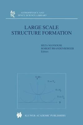 Large Scale Structure Formation - cover