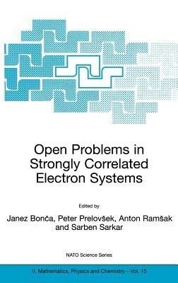 Open Problems in Strongly Correlated Electron Systems - cover
