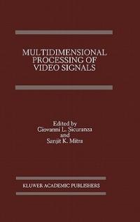 Multidimensional Processing of Video Signals - cover