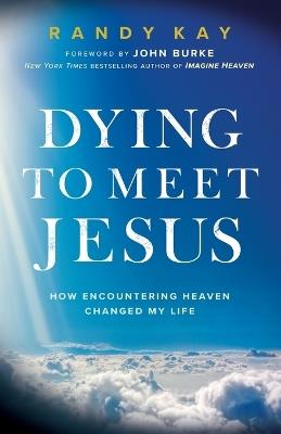 Dying to Meet Jesus: How Encountering Heaven Changed My Life - Randy Kay - cover