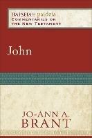 John - Jo–ann A. Brant,Mikeal Parsons,Charles Talbert - cover