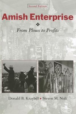 Amish Enterprise: From Plows to Profits - Donald B. Kraybill,Steven M. Nolt - cover
