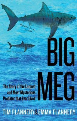 Big Meg: The Story of the Largest and Most Mysterious Predator That Ever Lived - Tim Flannery,Emma Flannery - cover