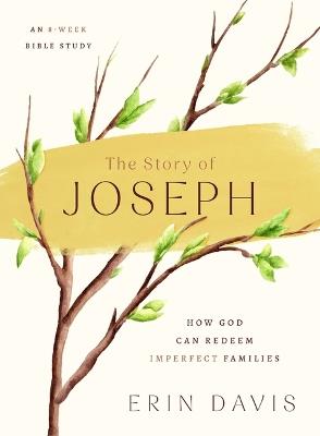 Story of Joseph, The - Erin Davis - cover