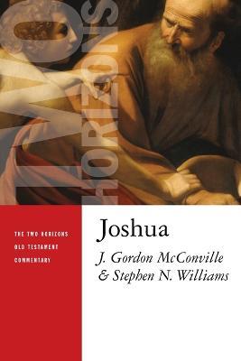 Joshua - J. Gordon McConville,Stephen N. Williams - cover