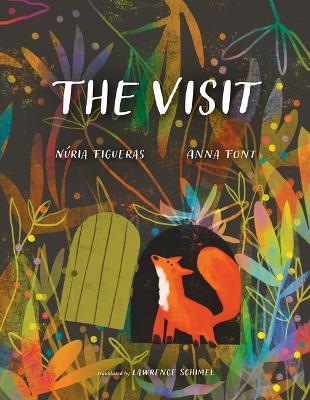The Visit - Núria Figueras - cover